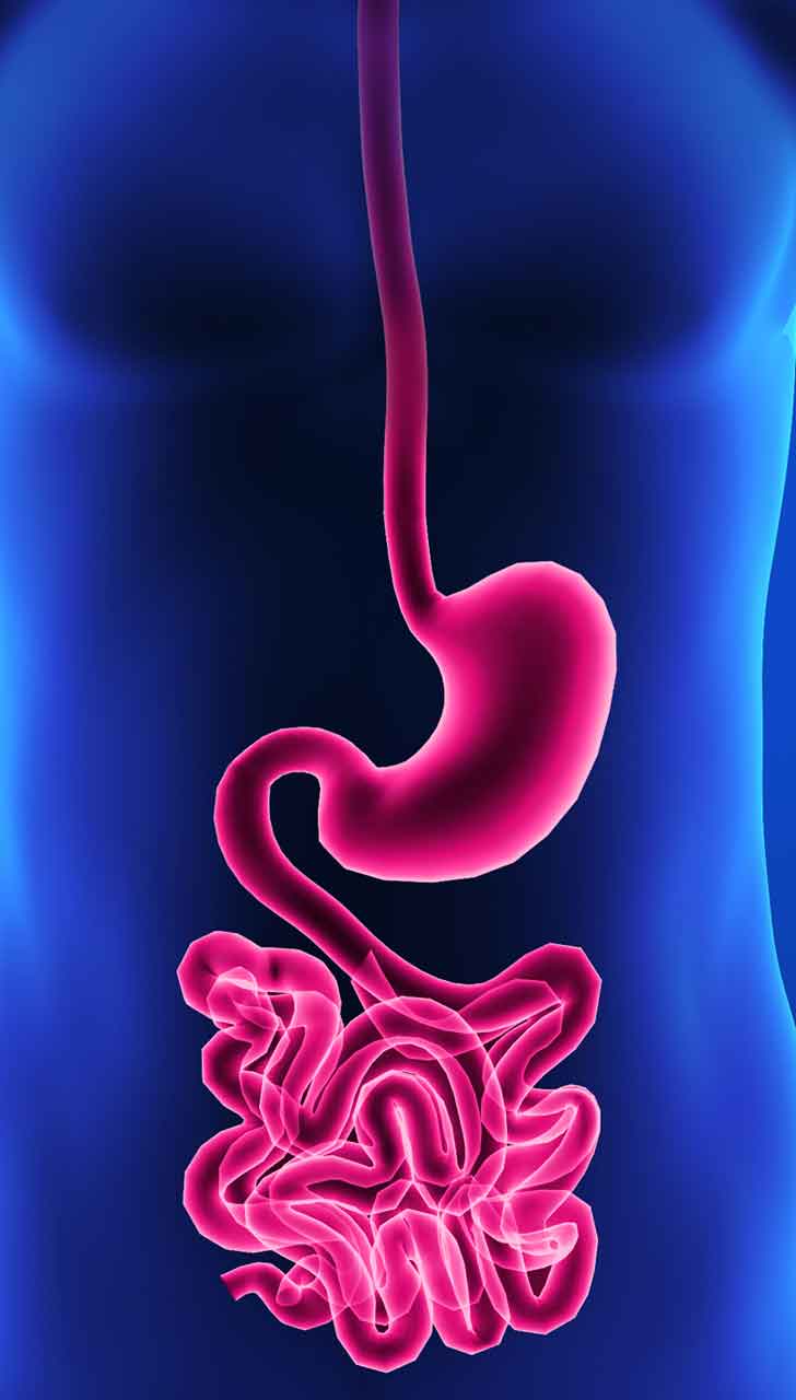 Better Digestion