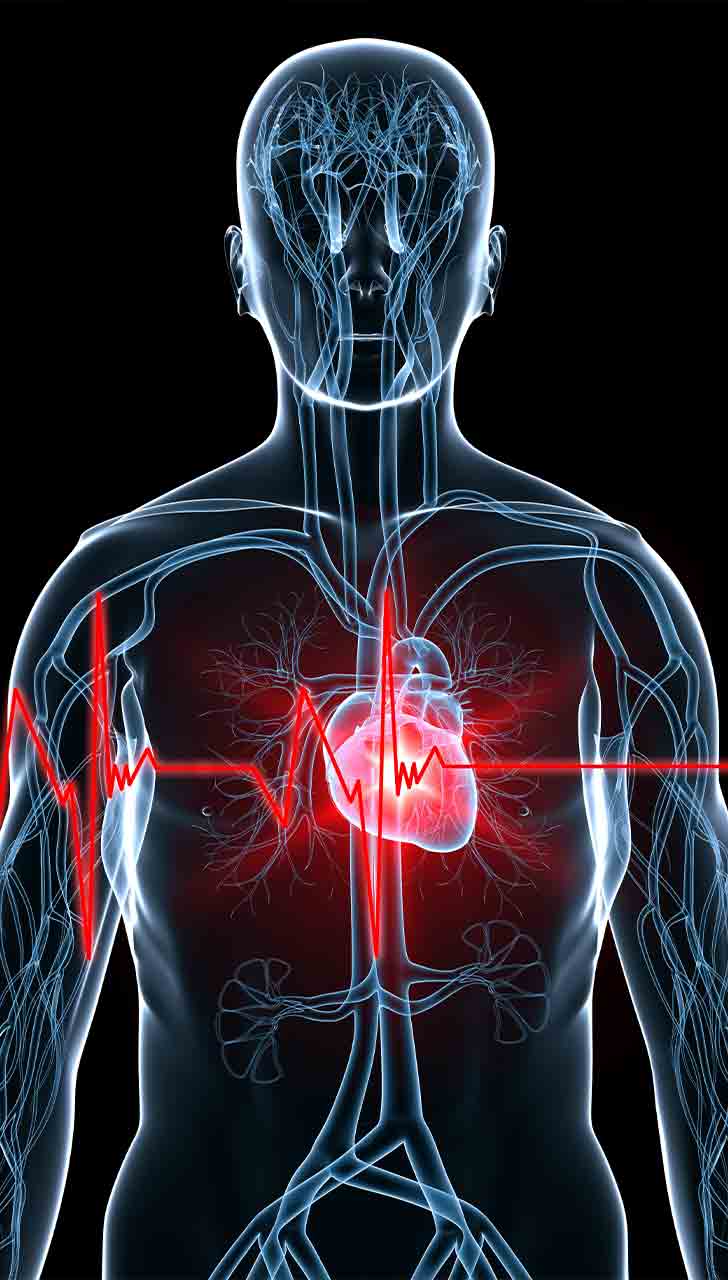 Cardiovascular Health