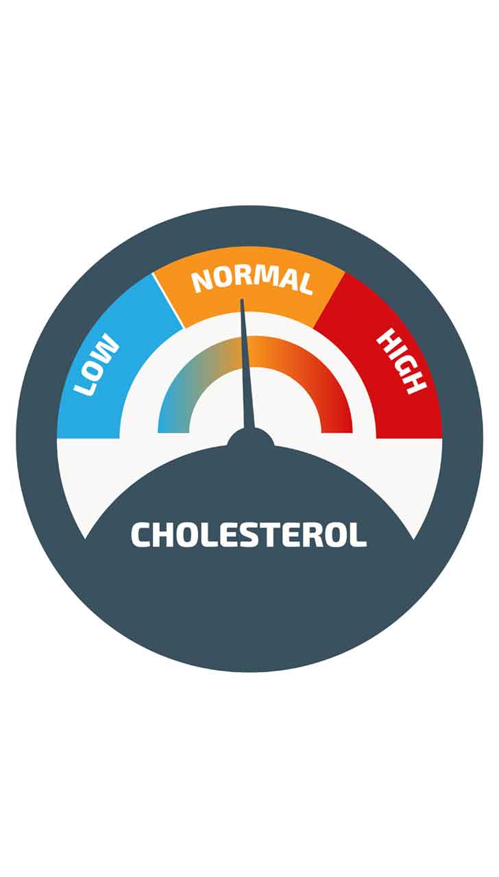 Control Cholesterol Levels