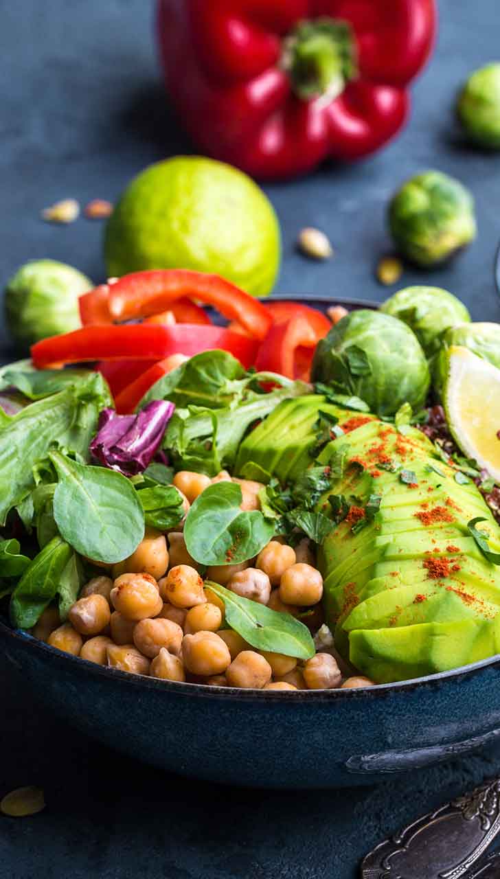 Dietary Choices and Balanced Nutrition