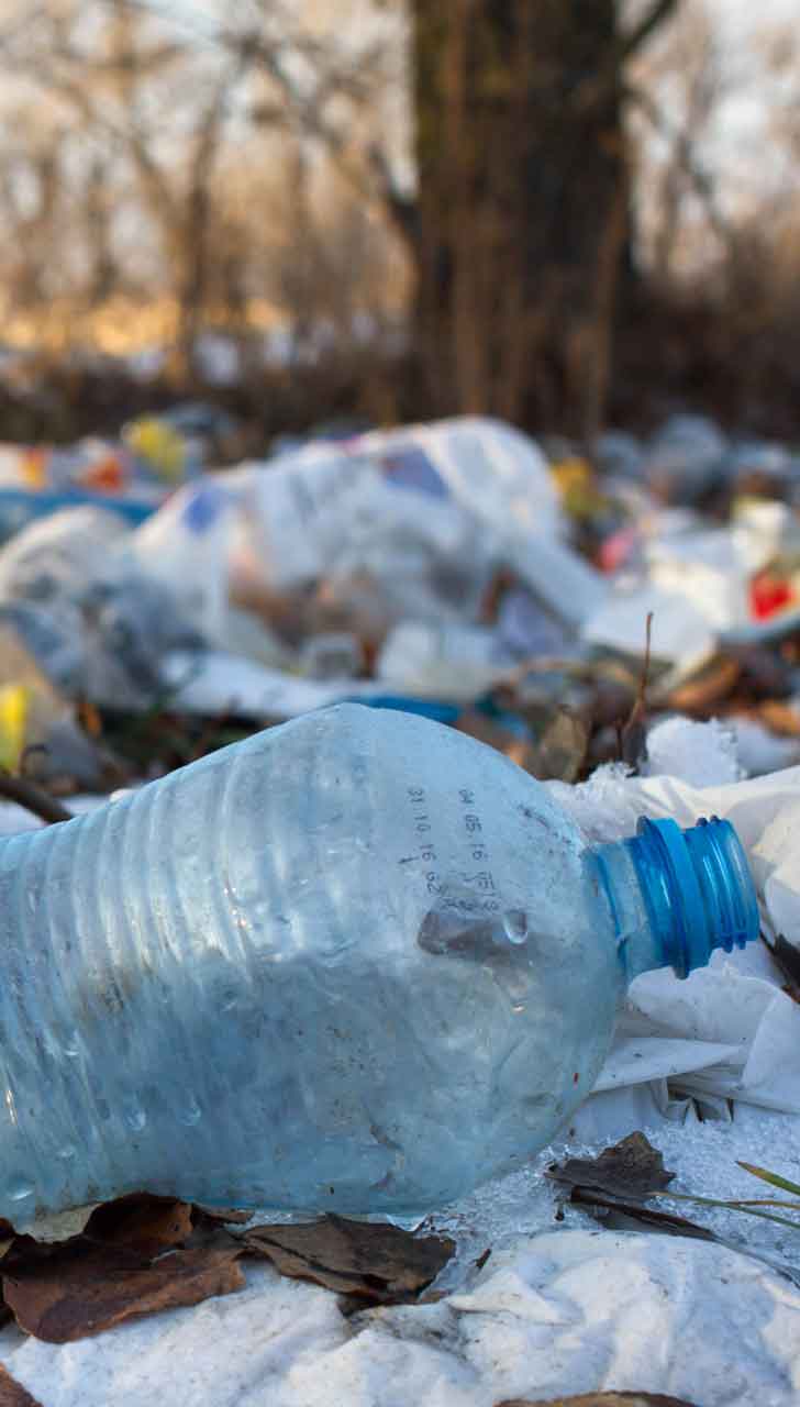 Environmental Impact