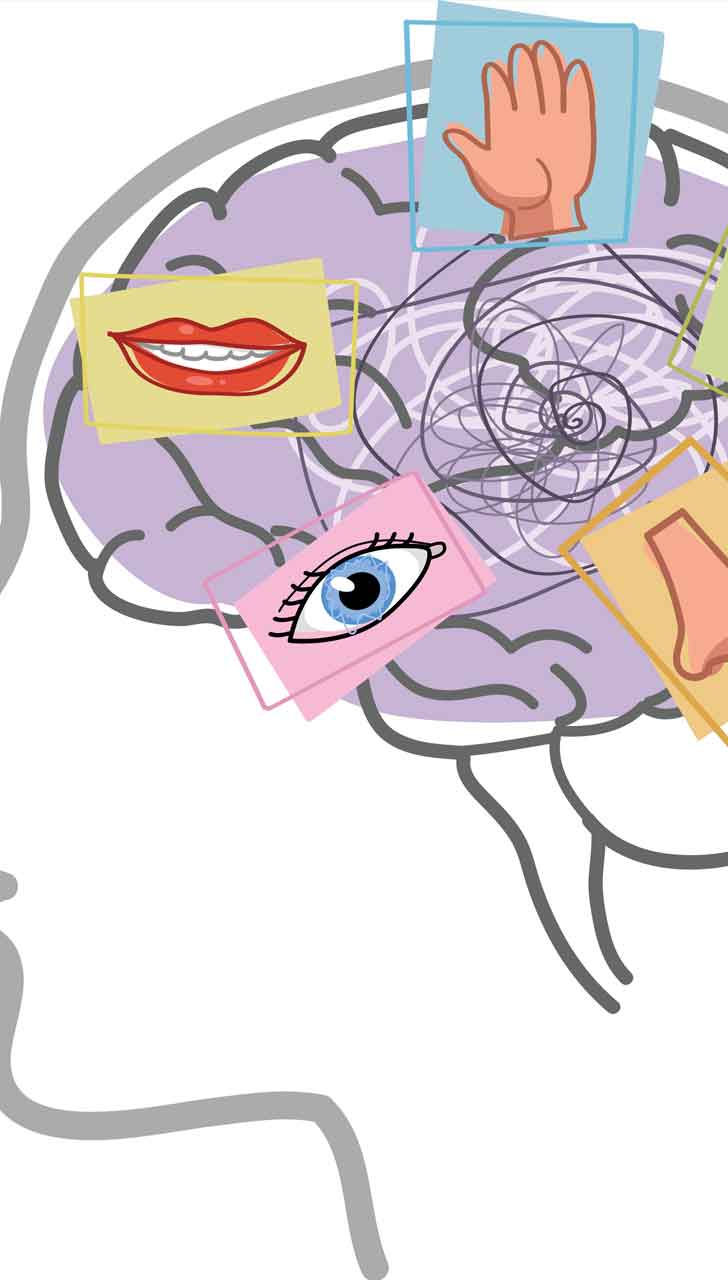 Five Sense Awareness