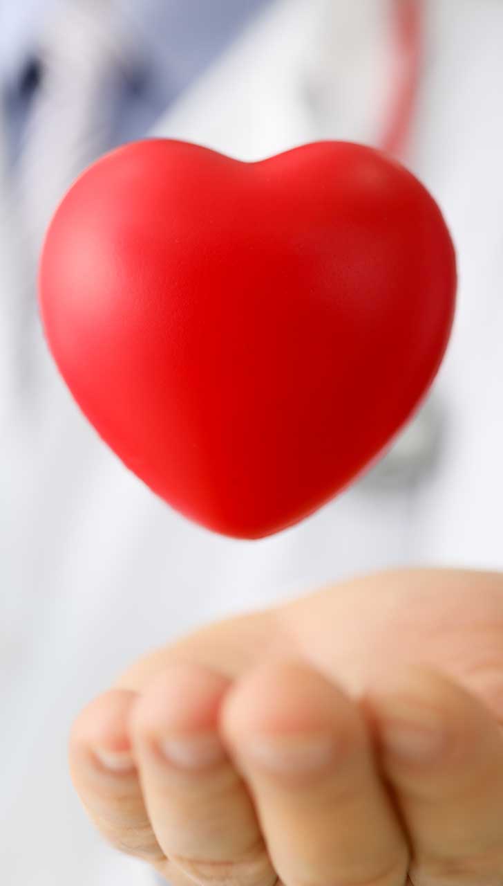 Fosters Healthy heart
