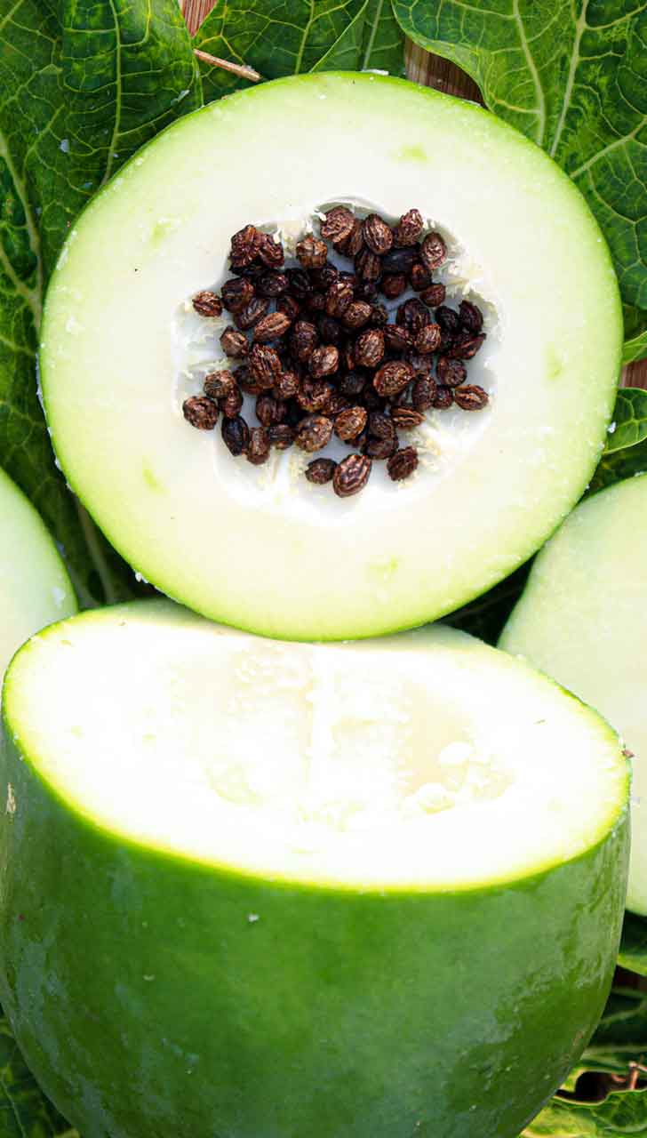 Green Papaya Fruits