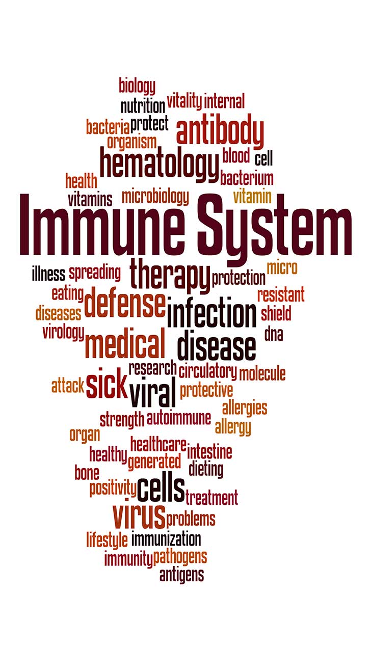 Immune System