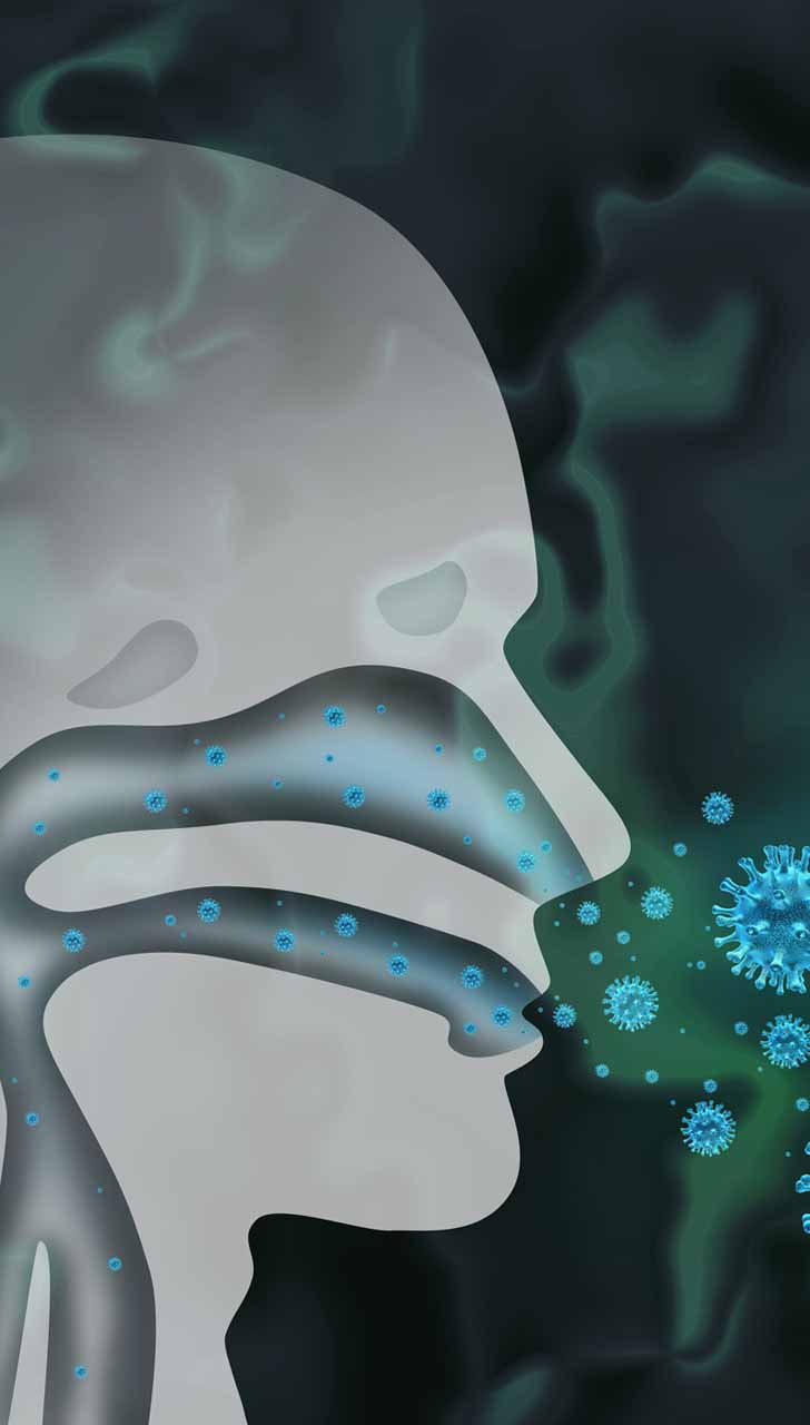 Influenza Virus