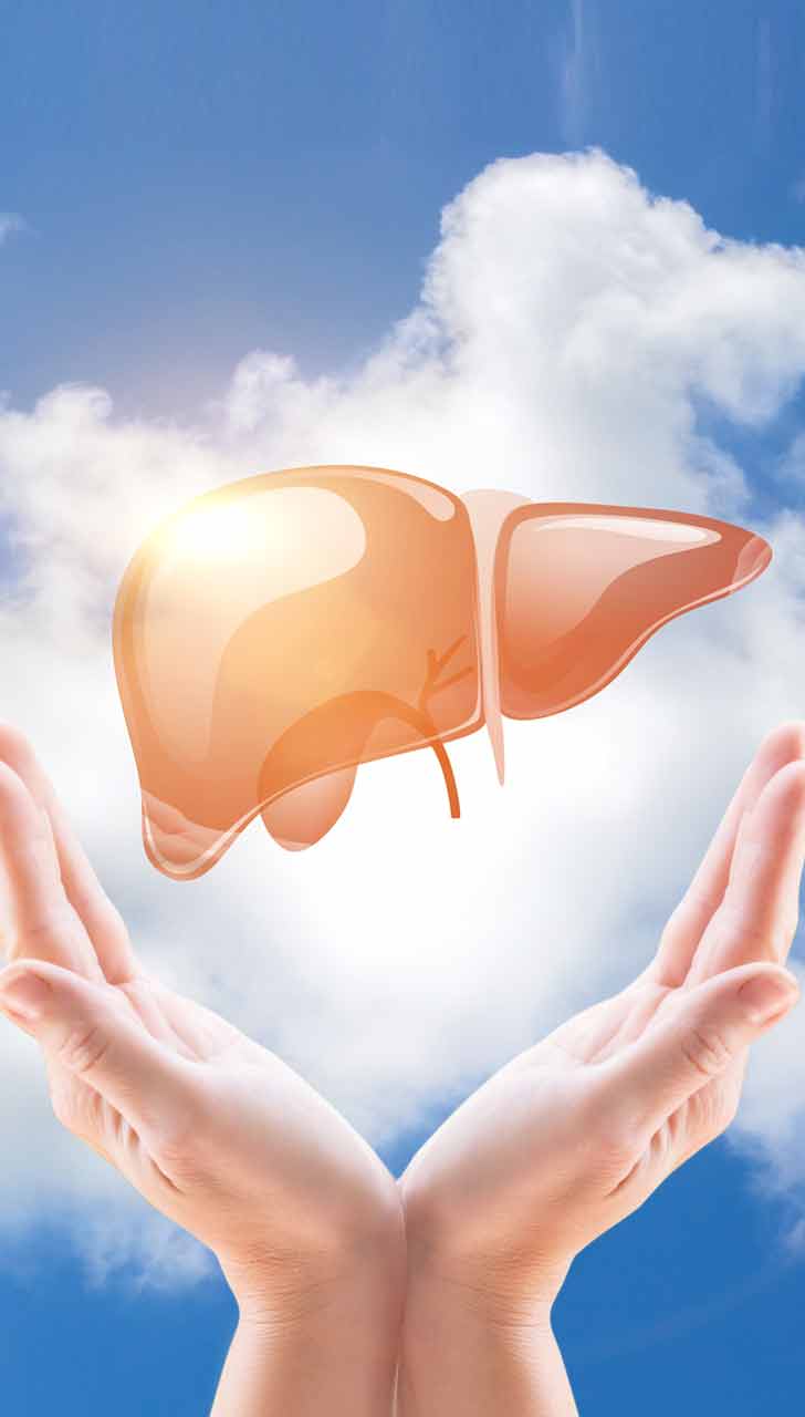 liver health and function