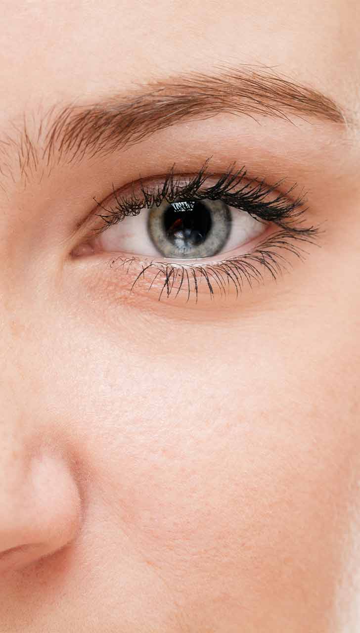 Lutein and Zeaxanthin Antioxidants Safeguard the Eyes