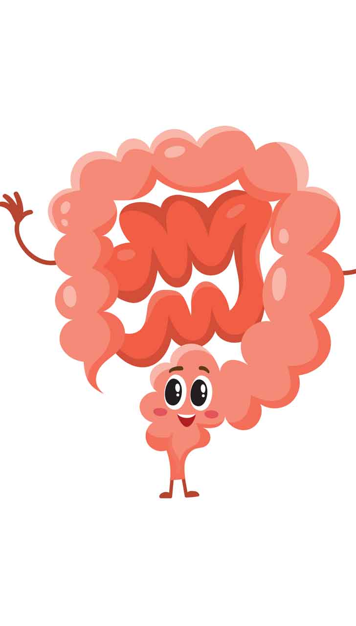 Digestive Health