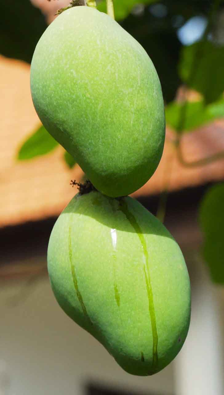 Nutrient-Dense Fruit