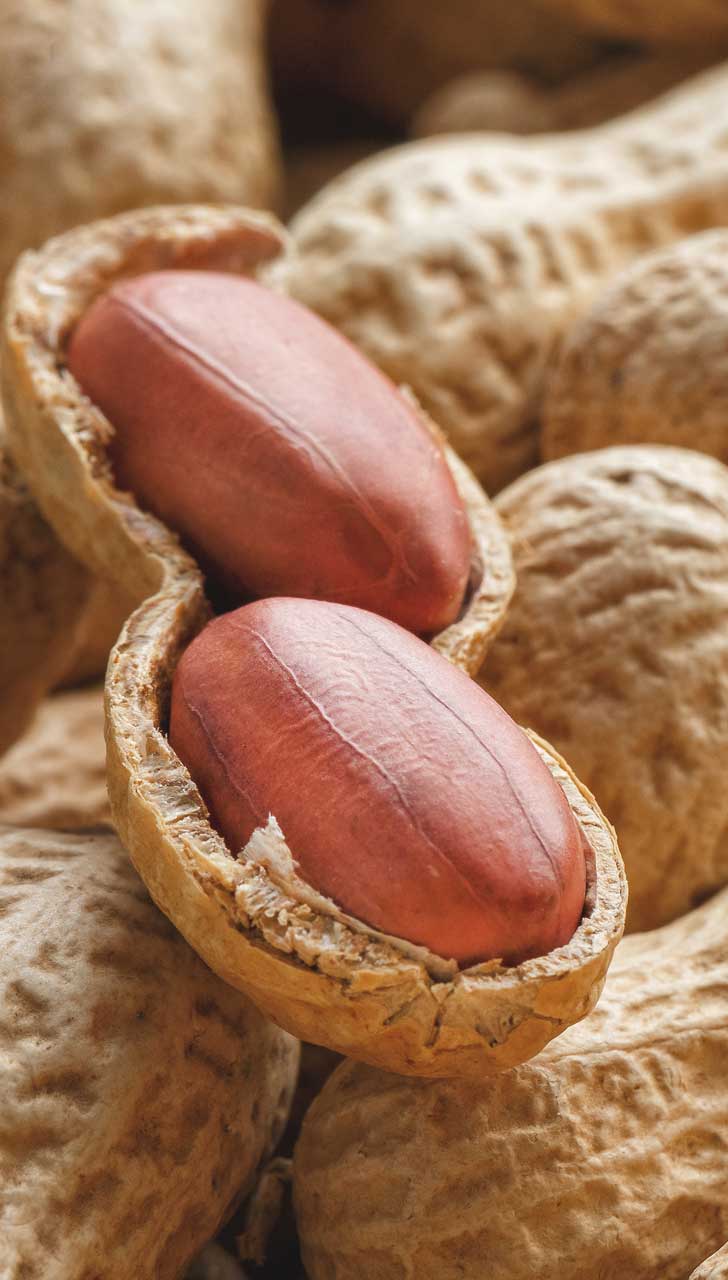 Winter Superfood