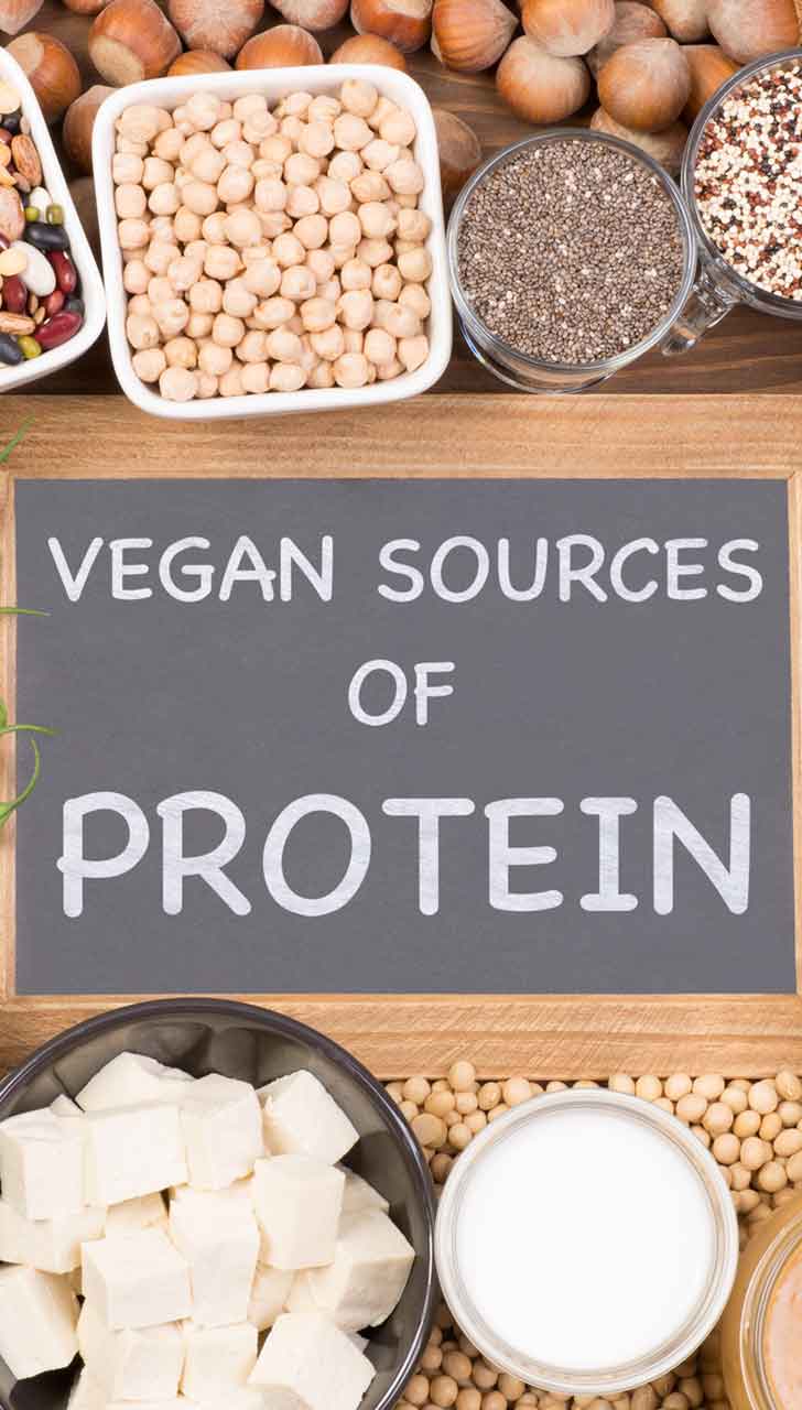 Plant-based Protein