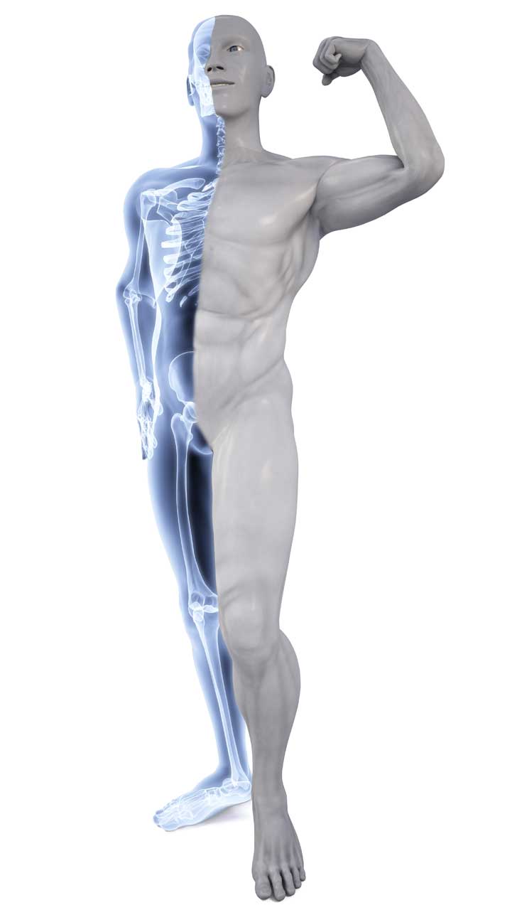 Preventing Osteoporosis and Fractures