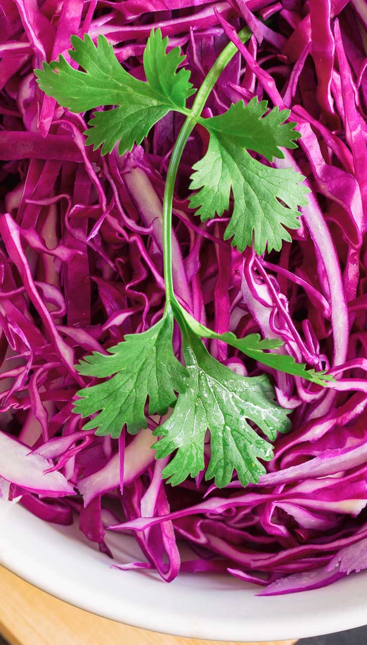 Purple Cabbage
