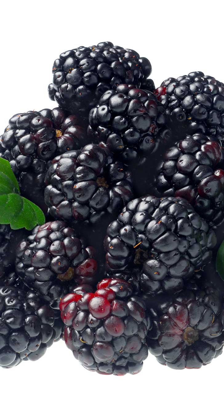 Blackberries