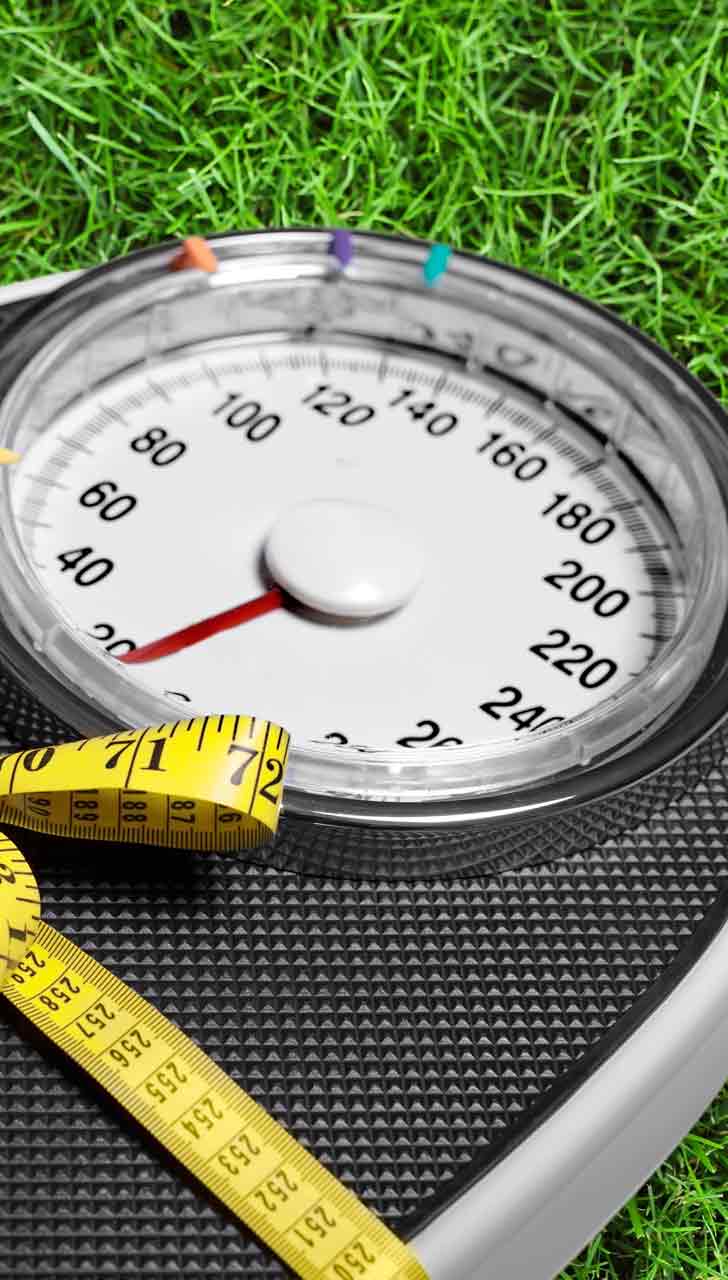 Regulates Weight Control