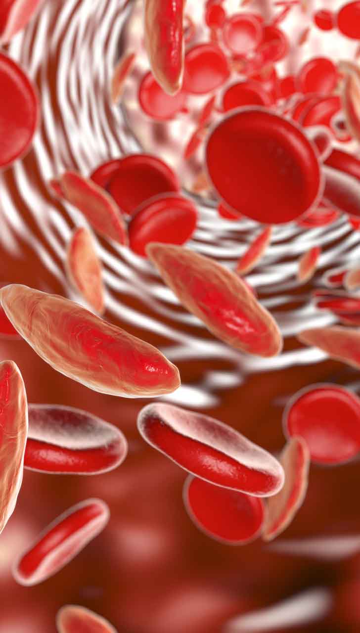 Rich In Vitamin B6