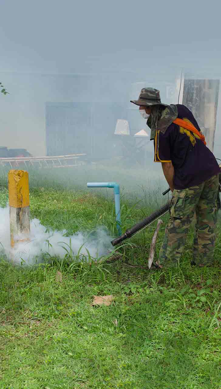 Steering Clear of Pesticides