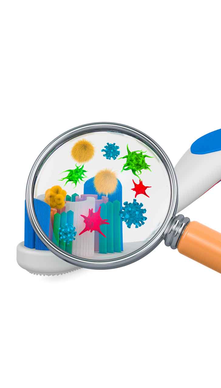 Toothbrush Could Be a Health Hazard
