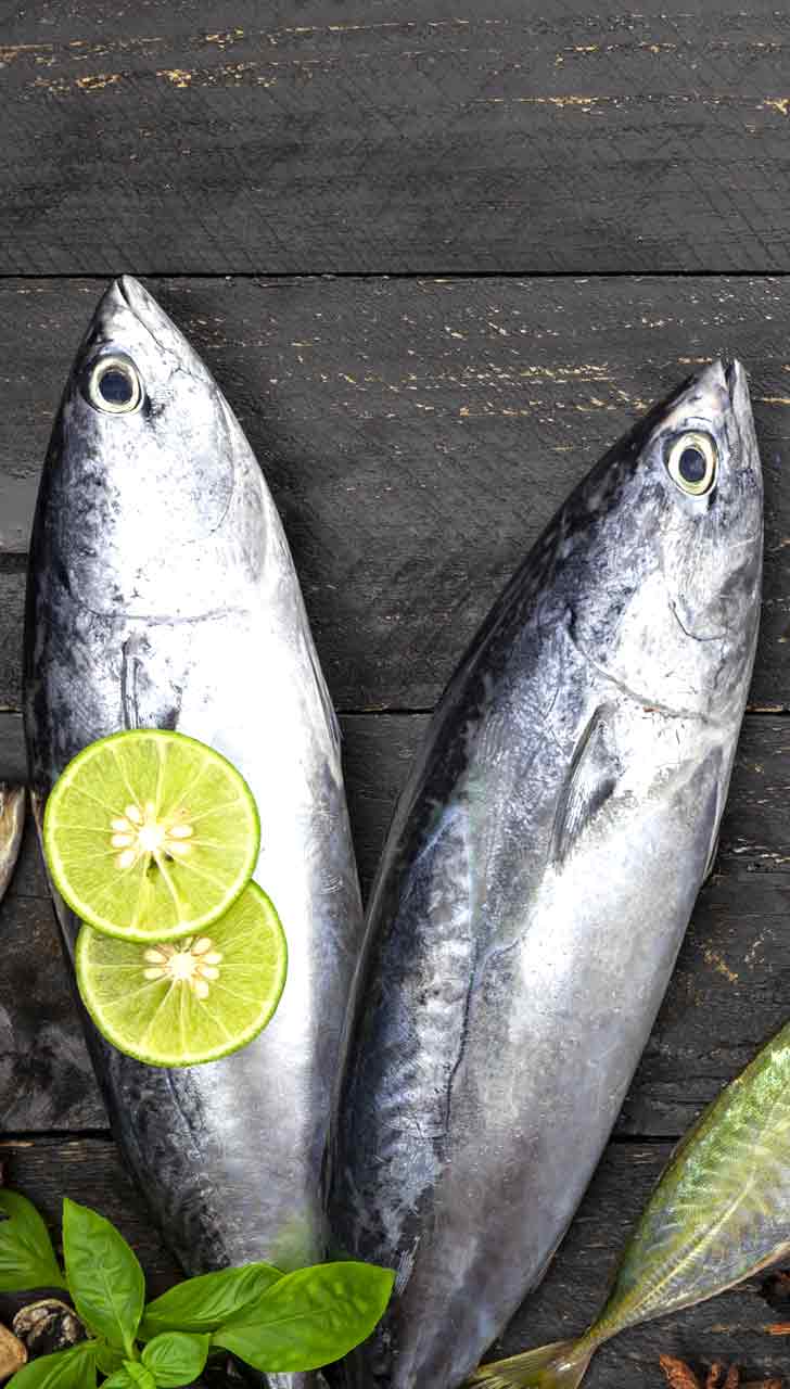 Tuna Fish and Its Health Advantages